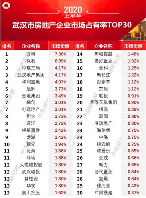 2020年上半年武汉房地产企业销售业绩排行榜